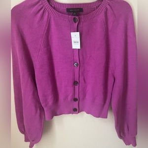 Magenta Ann Taylor Cardigan